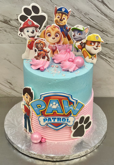 Petite Girl PawPatrol